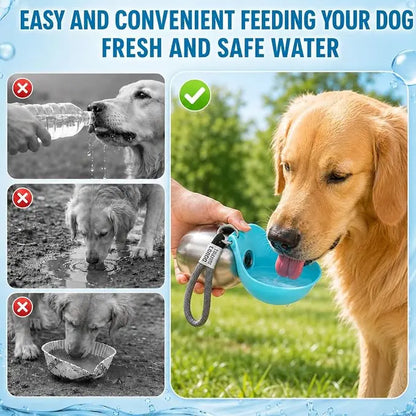 TrailSip 10oz Stainless Steel Dog Water Bottle – Portable 2-in-1 Travel Bottle with Foldable Bowl