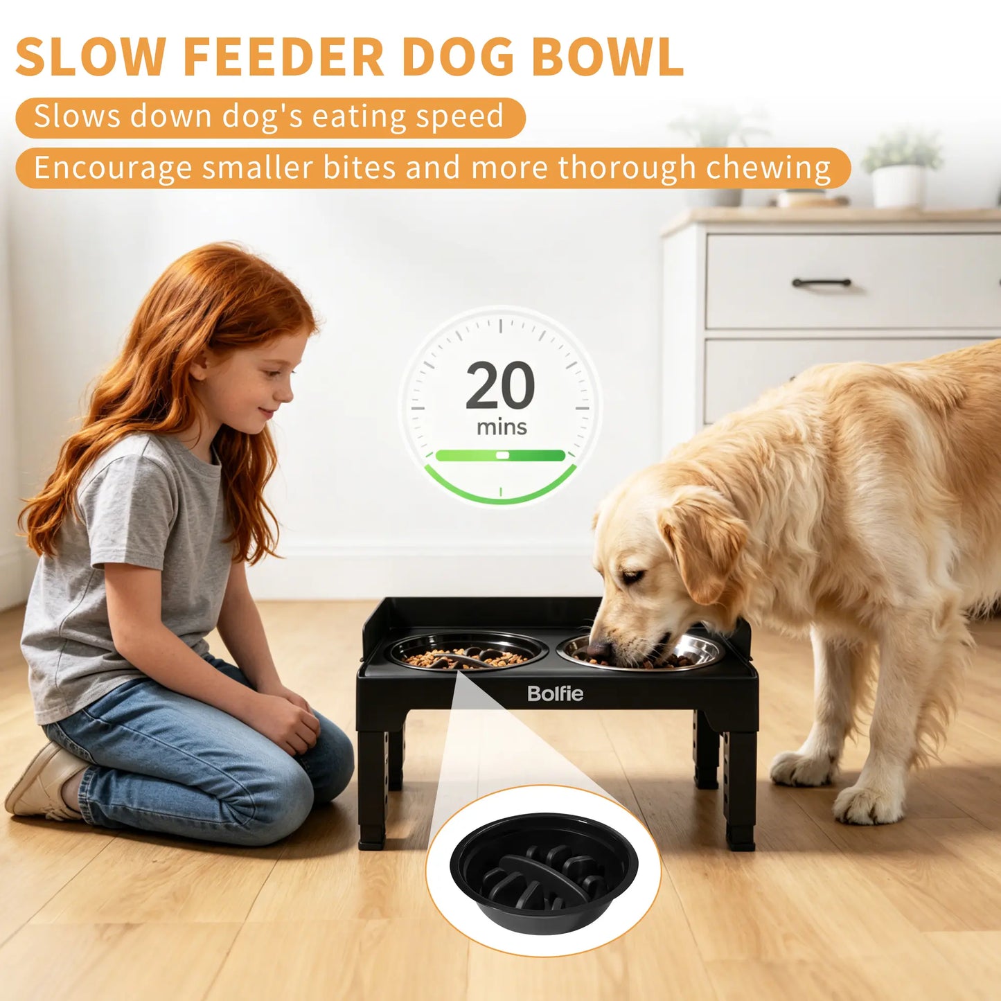 RiseDine Adjustable Elevated Dog Bowl Stand – Raised Feeder with Stainless Steel Bowls & Slow Feeder