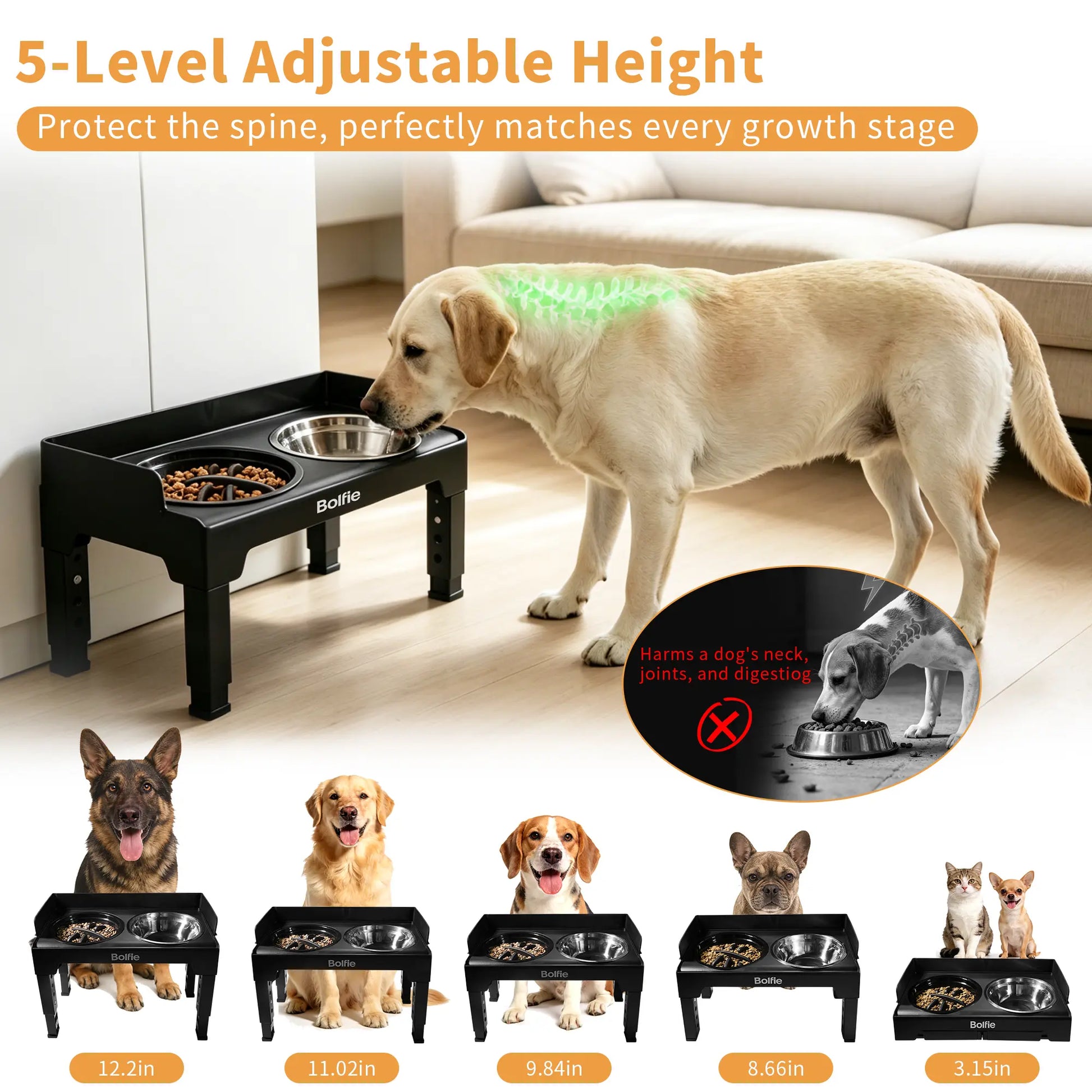 RiseDine Adjustable Elevated Dog Bowl Stand – Raised Feeder with Stainless Steel Bowls & Slow Feeder